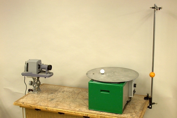 Pendular Motion